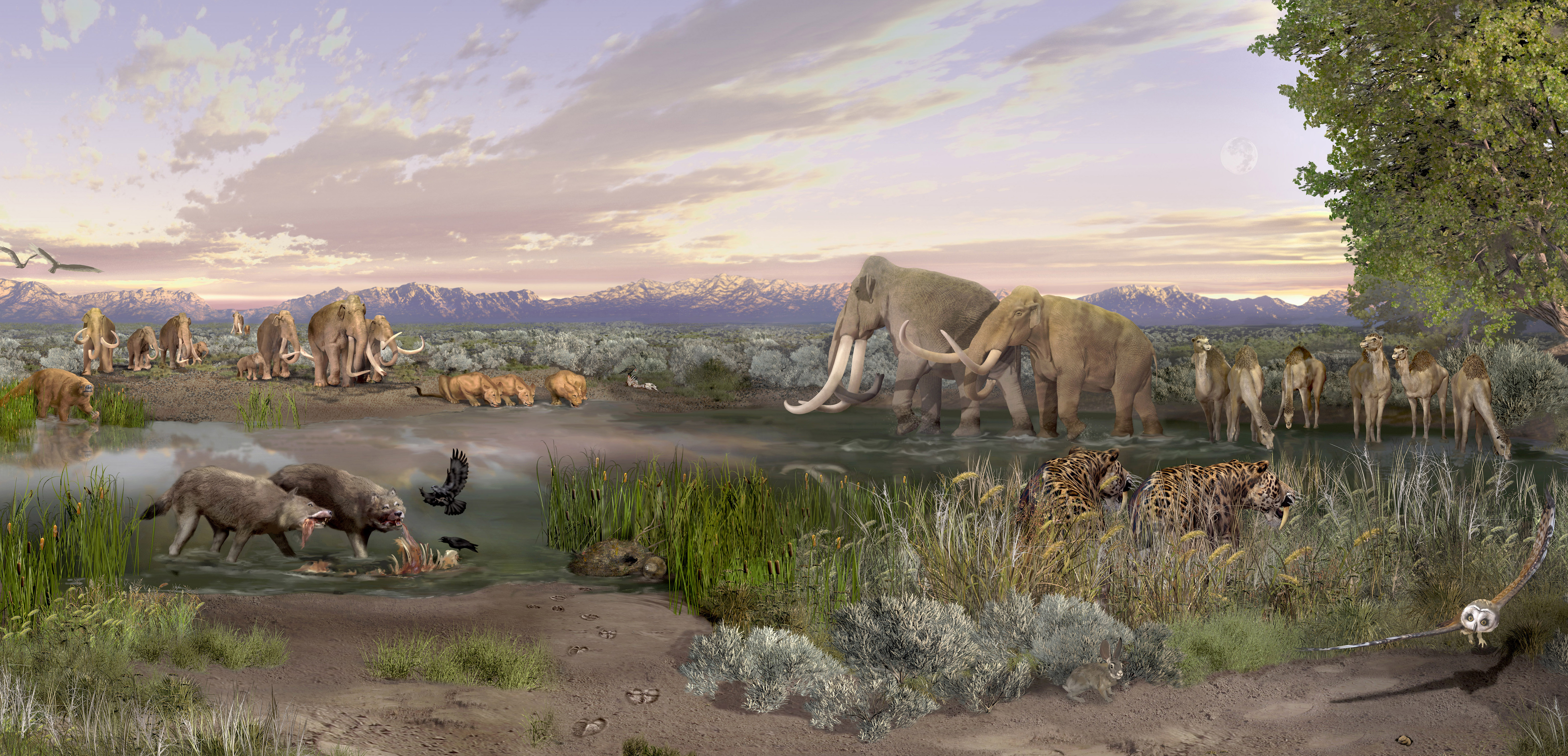 Late Pleistocene landscape depiction