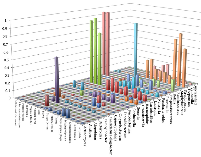 Figure 1. Genus-level community composition of the human microbiome per body site. Genus-level abundances were examined for genera whose reference genomes accrued &gt;0.025 (2.5%) of the mapped reads from at least one sample. Various genera are represented on the y‐axis and different human body/sub-sites are listed on the x‐axis. The ratios of genus-level mapped reads from 14 individuals are represented by the height of the columns along the z-axis.
