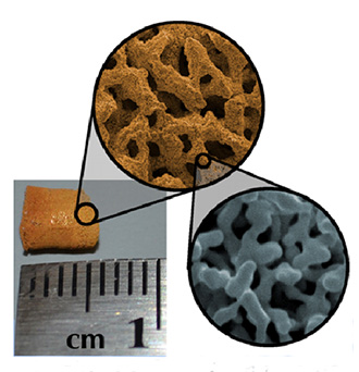 Figure 5. Digital and electron microscopy Images of hierarchically porous gold materials synthesized using colloidal bijels.