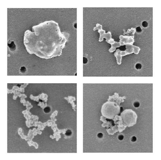Representative electron microscopy images of black carbon-containing particles collected at the Detling site for embedded 