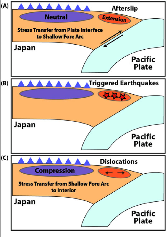 (A to C) researchers’ interpretation of the seismic phenomena observed at Honshu Island