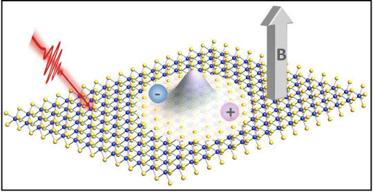 A depiction of the fundamental electron-hole excitation (exciton) in monolayer 