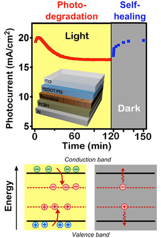 Organometallic halide perovskite solar cells demonstrate photocurrent-degradation