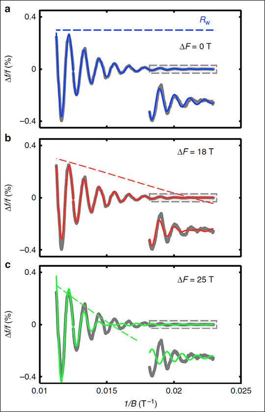The effect of 2-­‐D Fermi surface warping on quantum oscillations on Hg1201