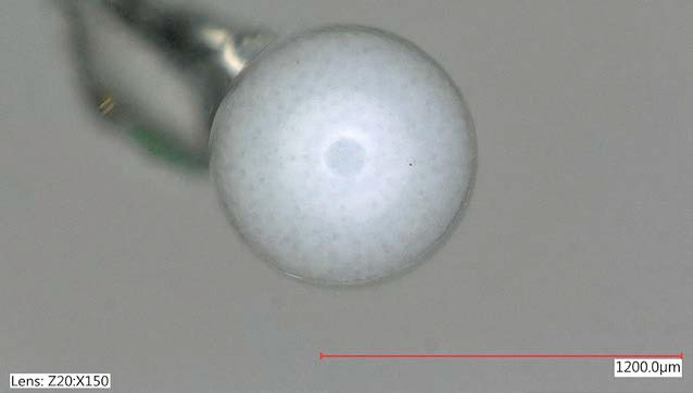 Optical image of a Marble OMEGA capsule