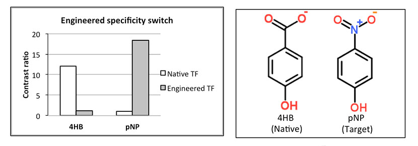 Ligand specificity switch