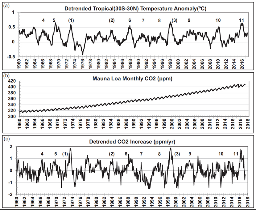Figure. (a) Monthly tropical (30◦S−30◦N) temperature anomaly using data from the UK Meteorological Office. Numbers indicate the CP El Niños and numbers in parenthesis the EP El Niños. (b) Monthly atmospheric CO2 concentration record from Mauna Loa Observatory. (c) Differentiated CO2 anomaly record from Mauna Loa Observatory. All anomalies are with respect to the 1960–2016 mean. The time series are de-trended with the mean set to zero.