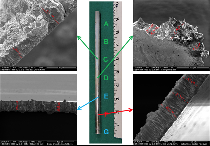 Figure. SEM (scanning electron microscope) images of molybdenum tube wall cross sections from various locations along the tube. The scale given by the ruler is in inches.