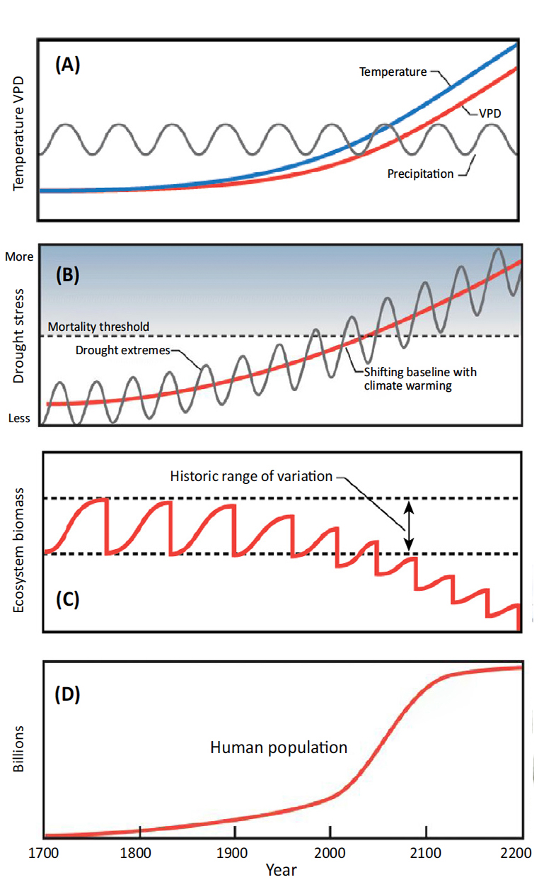Figure. Graphical depiction of the combined effects of ecosystem temperature change and drought stress through the 21st century via: A) temperature increases, B) chronically high drought stress and mortality, and C) chronically low biomass.
