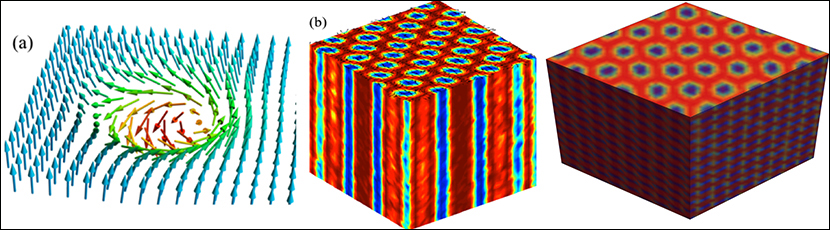 Figure. (a) Spin profile at the cross-section of a Skyrmion line. (b) Triangular Skyrmion line lattice. (c) Face centered cubic Skyrmion crystal corresponding to the ABCABC stacking of pancake Skyrmions in different layers. Color represents the magnitude of the magnetization along the magnetic field direction.