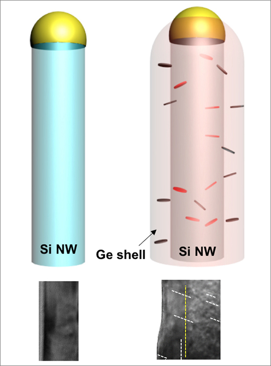 Defect-free single crystalline Si nanowires