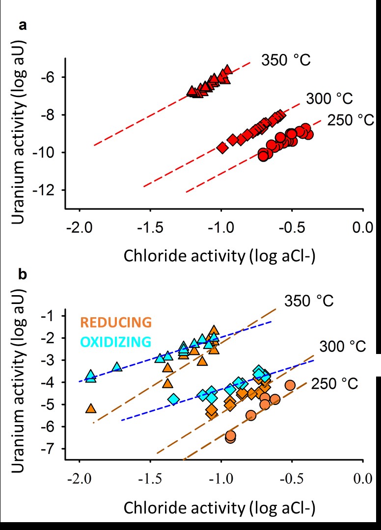 Uranium activity increases as a function of chloride activity under high temperatures. 