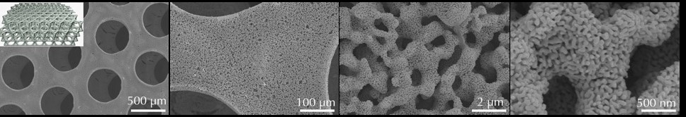 Scanning electron microscopy images of a nested-network gold material with three levels of engineered porosity. 