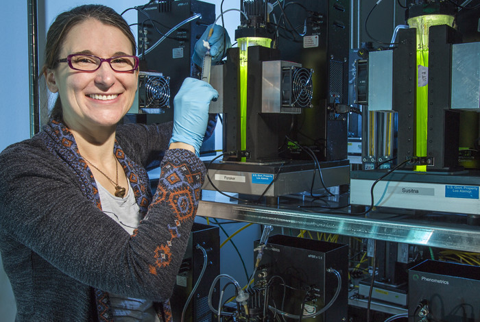 Amanda Barry of Los Alamos’ Bioenergy and Biome Sciences group samples algae cultures grown in the LANL environmental photobioreactor (ePBR) matrix.