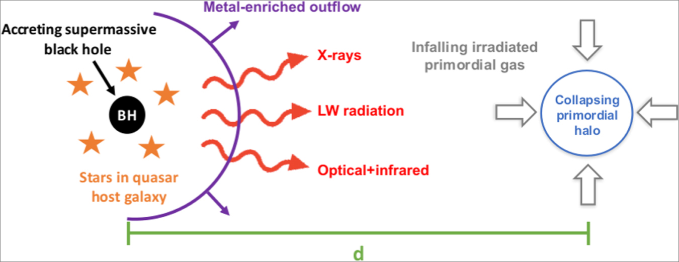 Schematic of the researchers’ prediction, the evolution of collapsing primordial gas (right) under the influence of X-rays, Lyman–Werner (LW), and optical/infrared radiation from a quasar (left) composed of an accreting black hole and stars in its host galaxy. The intense X-ray heating of the primordial gas prevents its collapse into its host halo until the halo mass exceeds ~10E10 M⊙, resulting in the formation of a massive cluster of Pop III stars or a direct-collapse black hole.