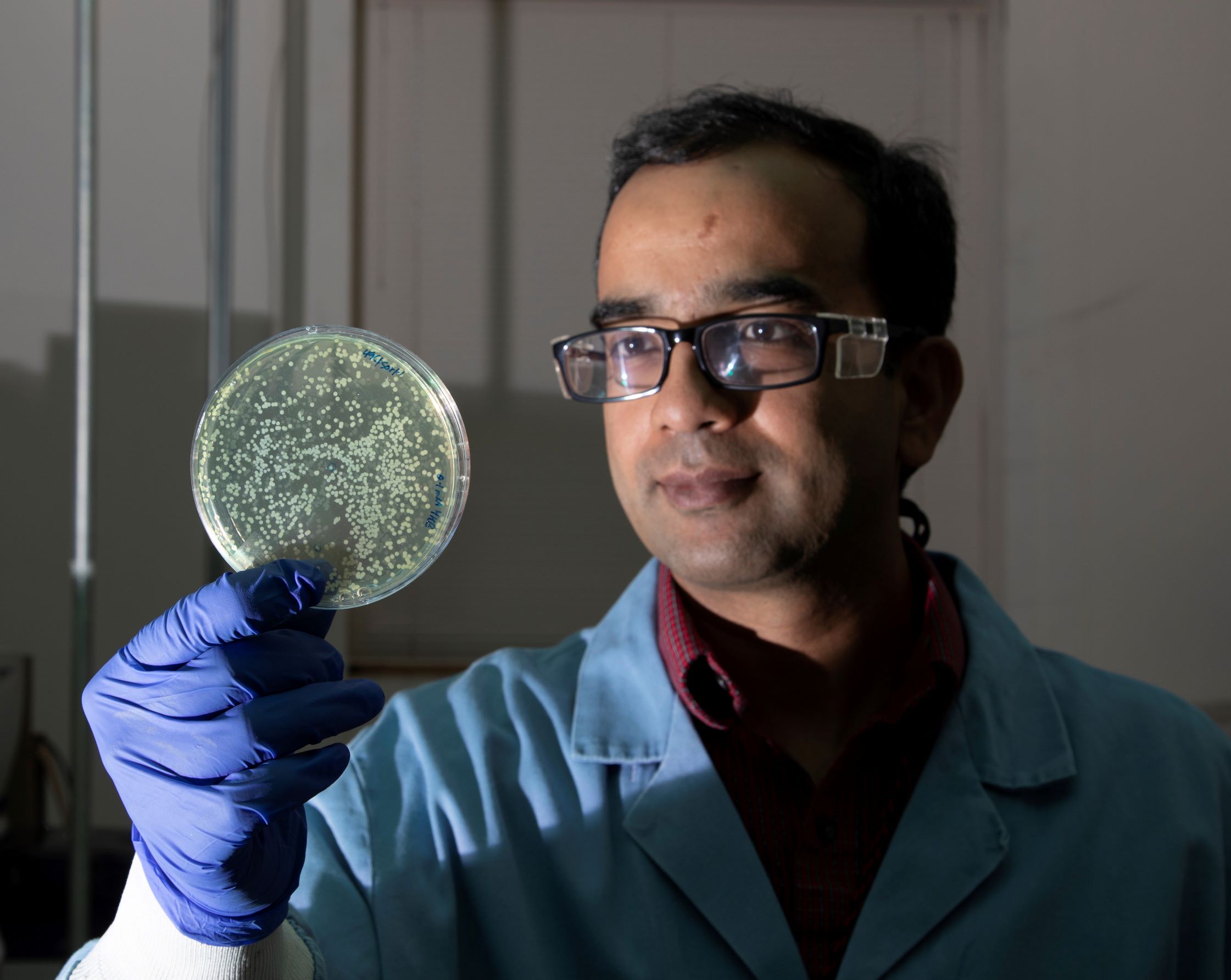 Ramesh Jha demonstrates the Smart Microbial Cell Technology on a petri dish. This is one of the three possible methods for employing the technology.