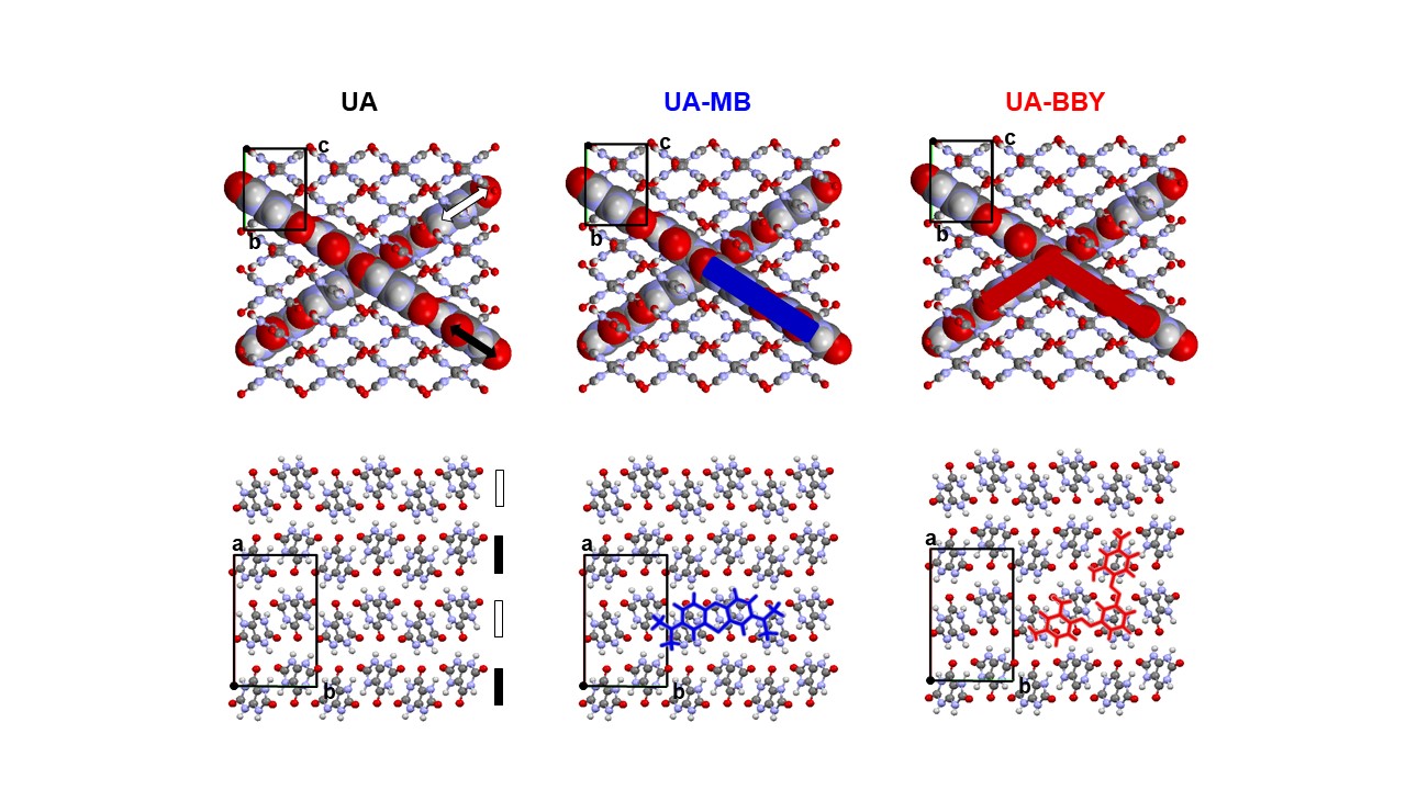 A comparison of lattice structure in uric acid (UA), UA doped with blue dye (UA-MB), and UA doped with red dye (UA-BBY).