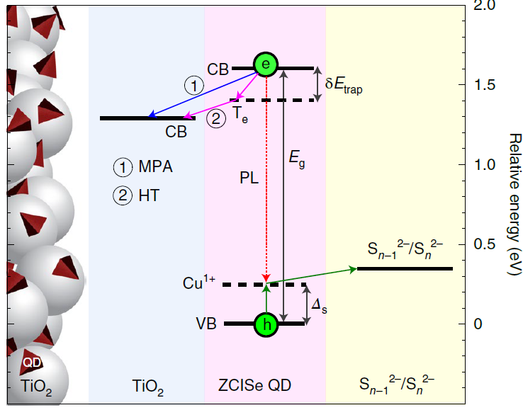 An illustration and energy diagram of the photoconversion via non-toxic quantum dots (ZCISe QD).