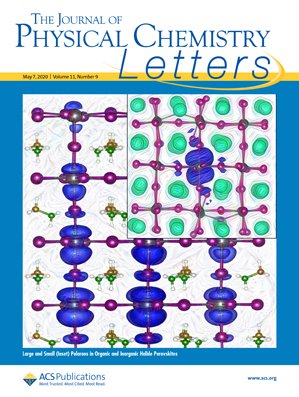 The in-depth perspective on halide perovskite charge carrier transport was featured on the May cover of The Journal of Physical Chemistry Letters.