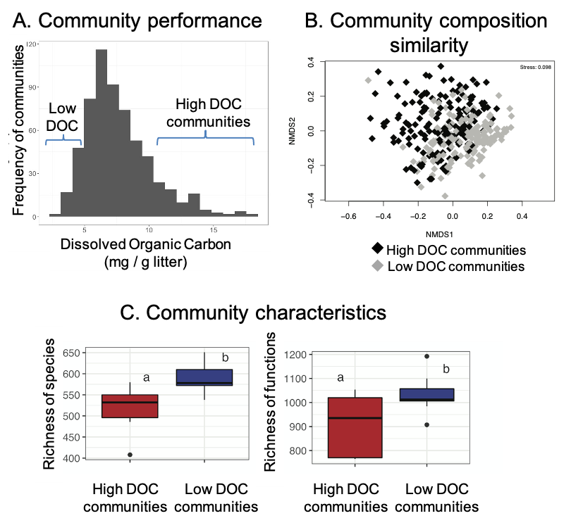Carbon flow from litter decomposition in soil depends on the team of microbes. 