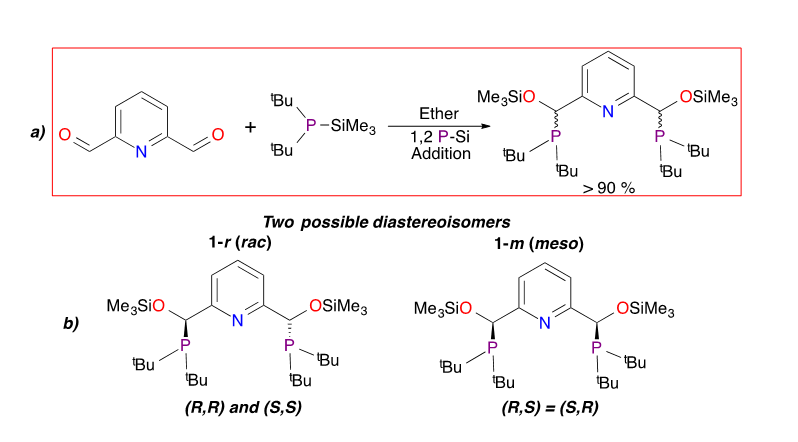 Synthesis (a) resulting in two possible diasterioisomer pairs (b).